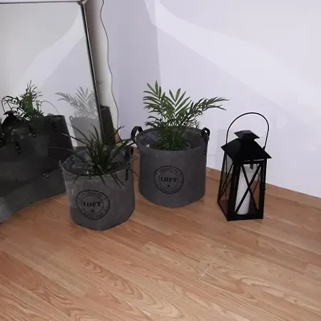 Apartman Adrian * Vrsi